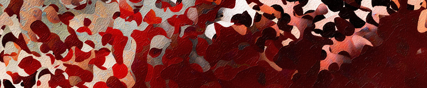 Christian Gifts for Men | Meaningful Art for Him